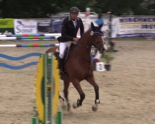 Reitturnier Haiger-Rodenbach, Drei-Länder-Challenge 2017