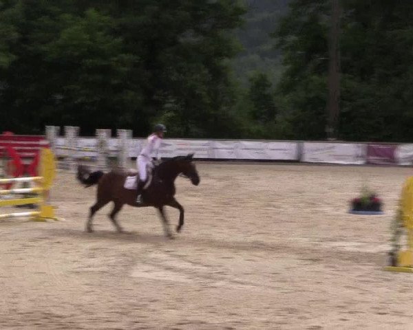 Reitturnier Haiger-Rodenbach, Drei-Länder-Challenge 2017