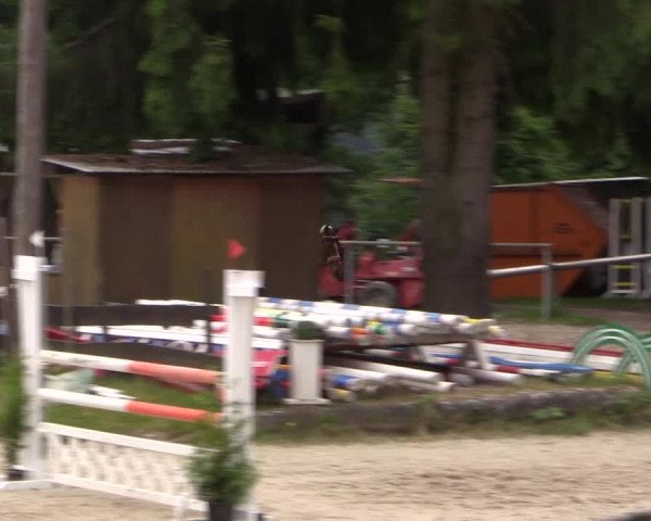 Reitturnier Haiger-Rodenbach, Drei-Länder-Challenge 2017