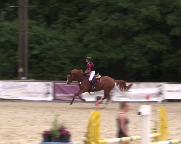 Reitturnier Haiger-Rodenbach, Drei-Länder-Challenge 2017