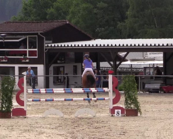 Reitturnier Haiger-Rodenbach, Drei-Länder-Challenge 2017