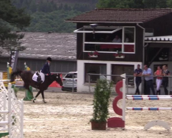Reitturnier Haiger-Rodenbach, Drei-Länder-Challenge 2017