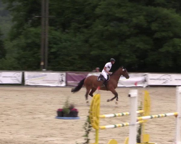 Reitturnier Haiger-Rodenbach, Drei-Länder-Challenge 2017