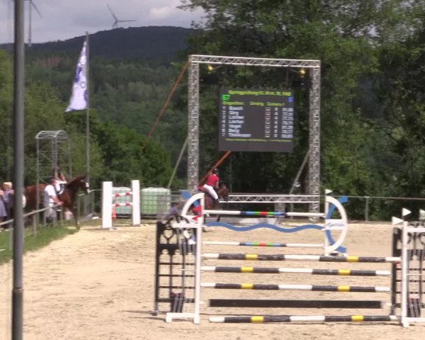 Reitturnier Haiger-Rodenbach, Drei-Länder-Challenge 2017