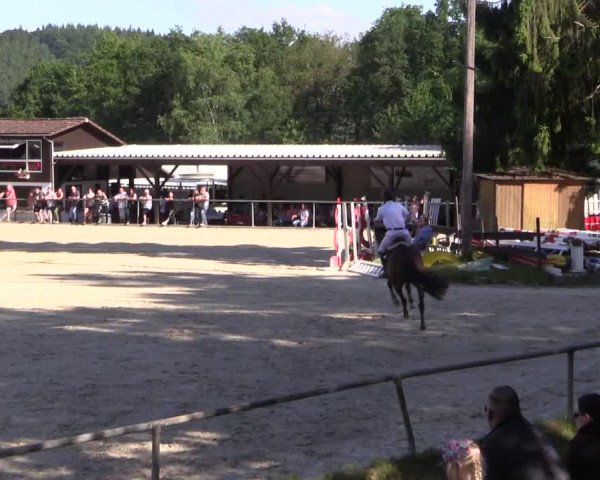Reitturnier Haiger-Rodenbach, Drei-Länder-Challenge 2017