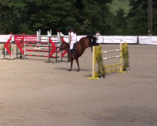 Reitturnier Haiger-Rodenbach, Drei-Länder-Challenge 2017