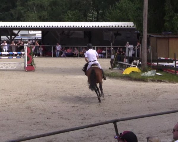 Reitturnier Haiger-Rodenbach, Drei-Länder-Challenge 2017