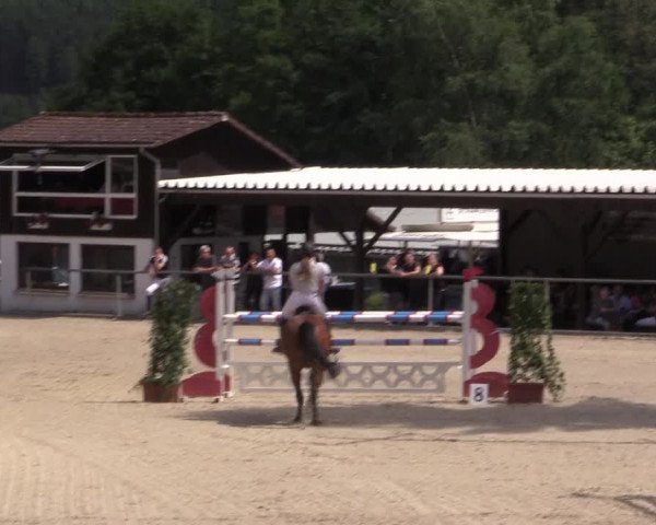 Reitturnier Haiger-Rodenbach, Drei-Länder-Challenge 2017