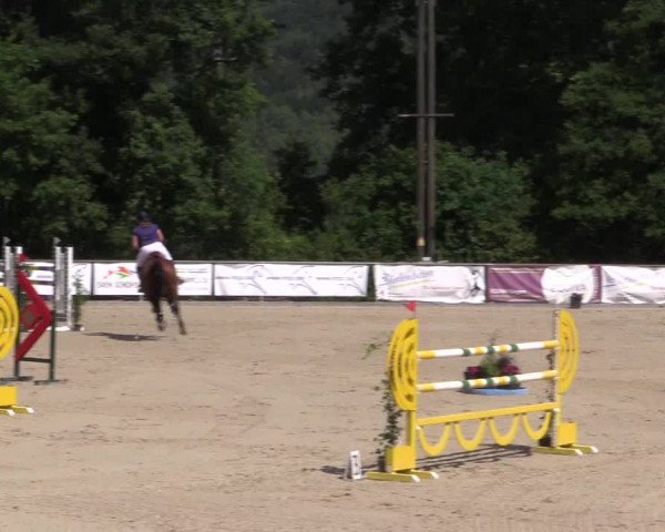Reitturnier Haiger-Rodenbach, Drei-Länder-Challenge 2017