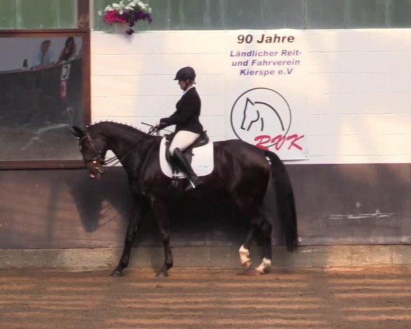 Reitturnier Kierspe-Hohenholten 2017