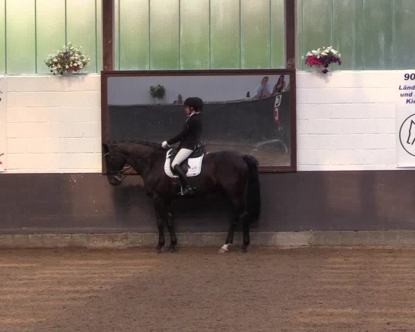 Reitturnier Kierspe-Hohenholten 2017