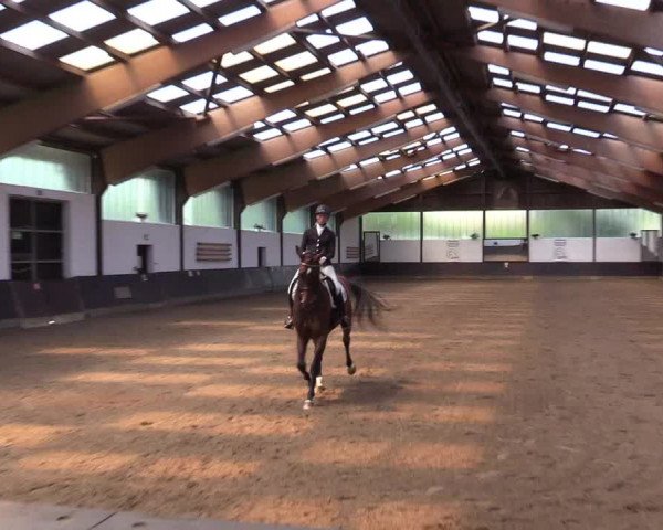 Reitturnier Kierspe-Hohenholten 2017