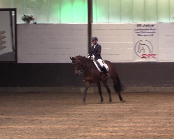 Reitturnier Kierspe-Hohenholten 2017