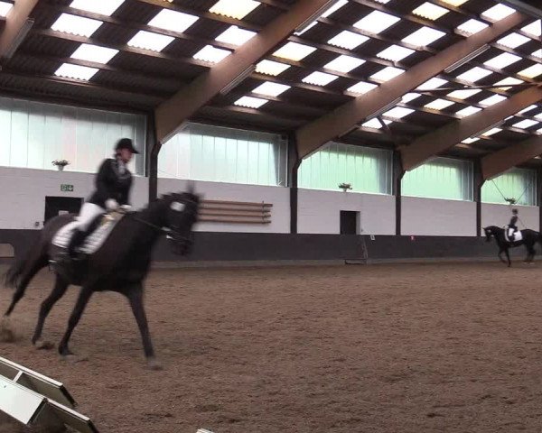 Reitturnier Kierspe-Hohenholten 2017