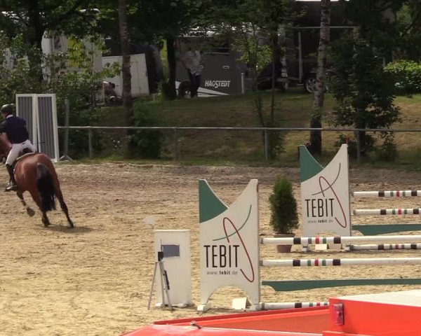 Torneo Equestre Kierspe-Hohenholten 2017