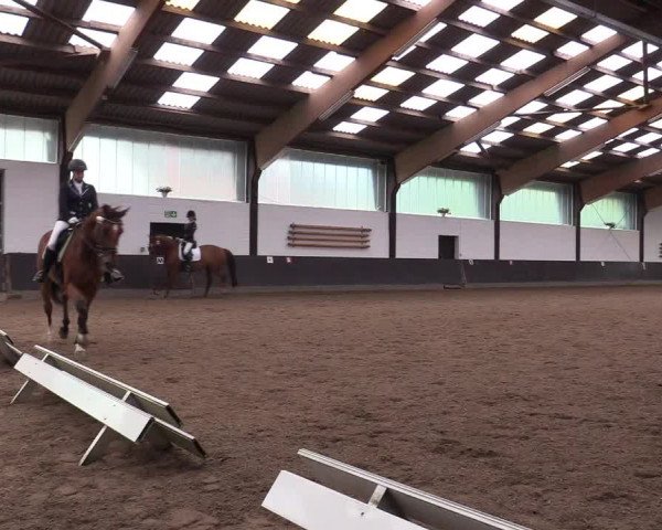 Reitturnier Kierspe-Hohenholten 2017