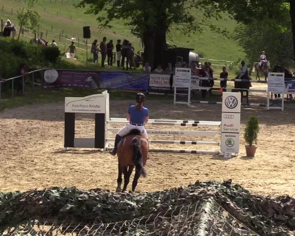 Reitturnier Kierspe-Hohenholten 2017