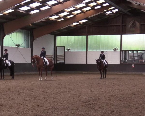 Reitturnier Kierspe-Hohenholten 2017