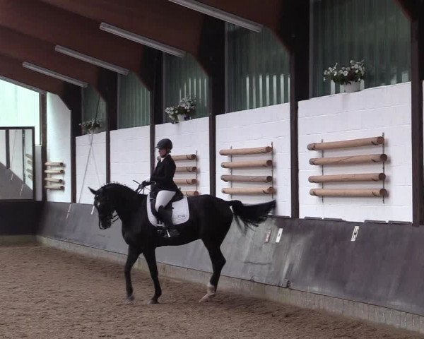 Reitturnier Kierspe-Hohenholten 2017