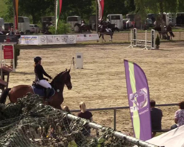 Reitturnier Kierspe-Hohenholten 2017