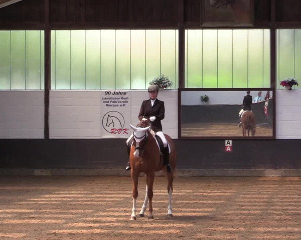 Reitturnier Kierspe-Hohenholten 2017