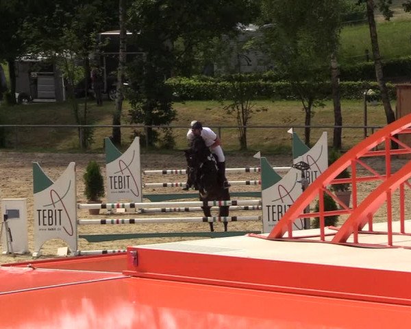 Reitturnier Kierspe-Hohenholten 2017