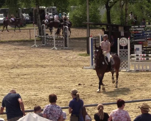 Reitturnier Kierspe-Hohenholten 2017