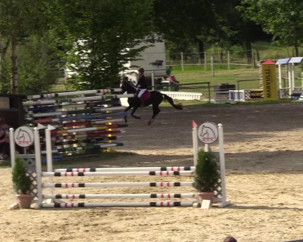 Reitturnier Kierspe-Hohenholten 2017