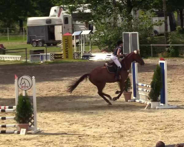 Reitturnier Kierspe-Hohenholten 2017