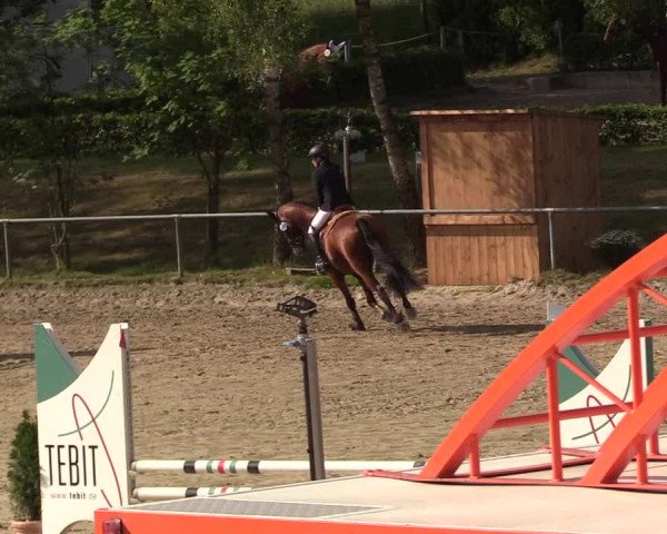 Reitturnier Kierspe-Hohenholten 2017