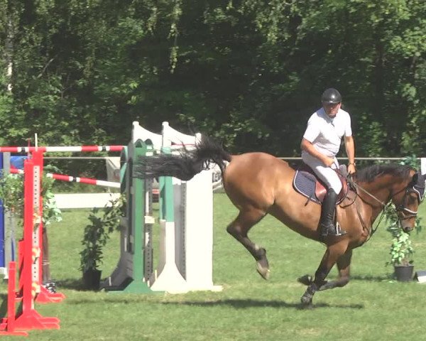 Reitturnier Leingarten 2017
