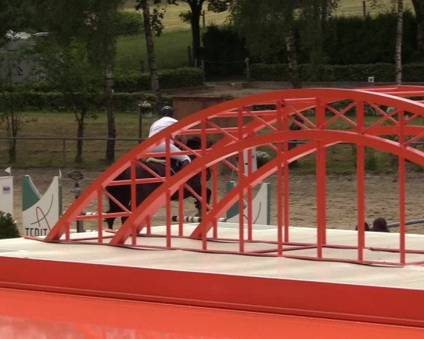 Reitturnier Kierspe-Hohenholten 2017