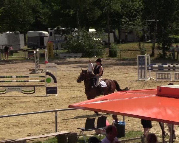 Reitturnier Kierspe-Hohenholten 2017