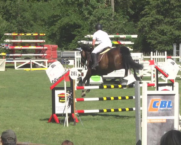 Reitturnier Leingarten 2017