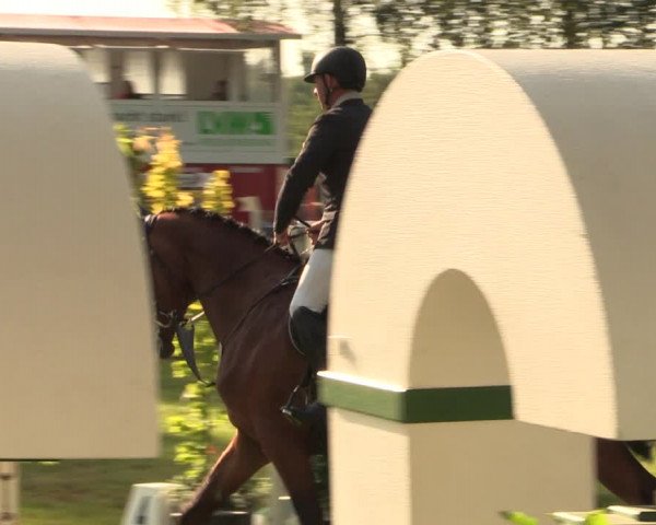 Reitturnier Hille 2017