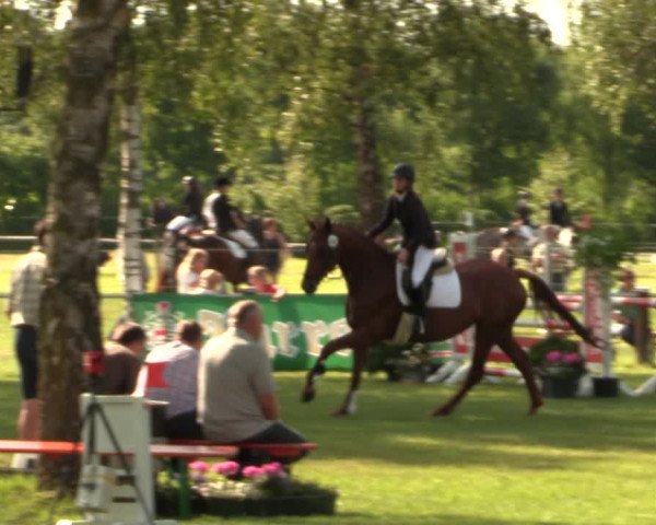 Reitturnier Hille 2017