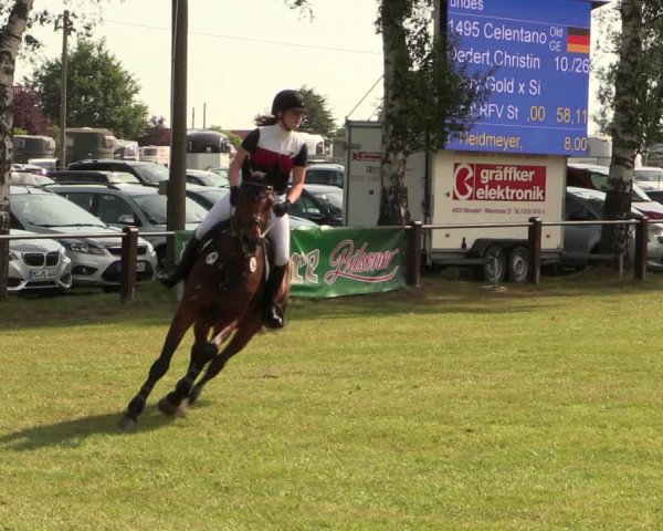 Reitturnier Hille 2017