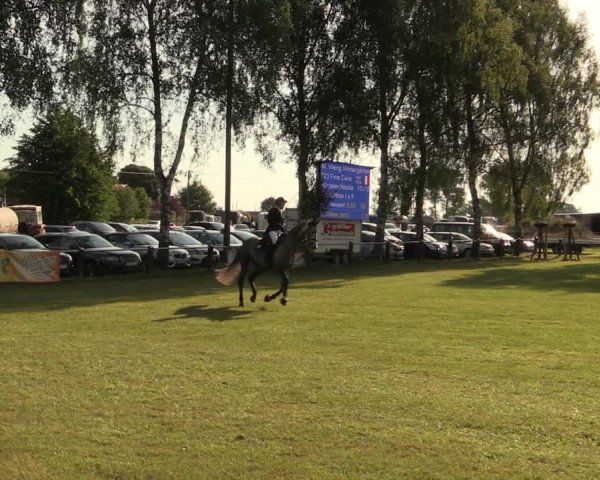 Reitturnier Hille 2017