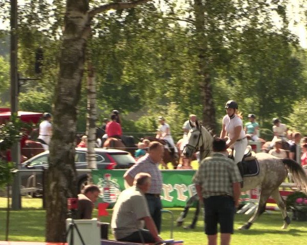 Reitturnier Hille 2017