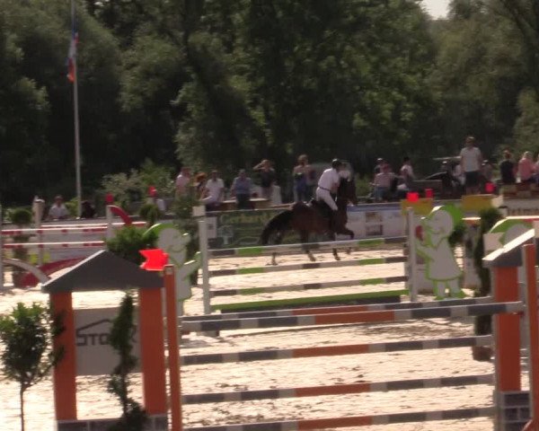 Reitturnier Detmold-Remmighausen 2017