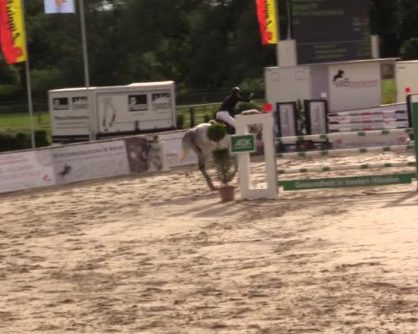 Reitturnier Detmold-Remmighausen 2017