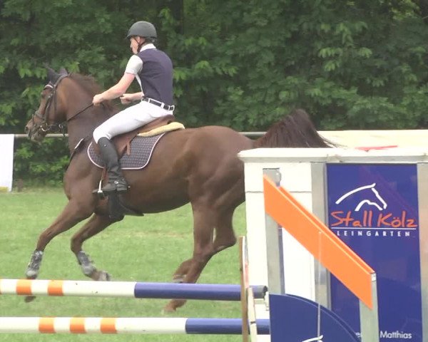 Reitturnier Leingarten 2017