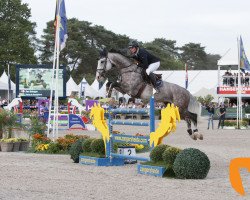 jumper Heros du Roumaillard CH (Swiss Warmblood, 2011, from Hickstead)