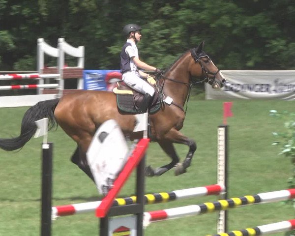 Reitturnier Leingarten 2017