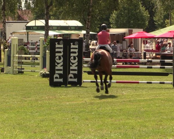 Reitturnier Hille 2017