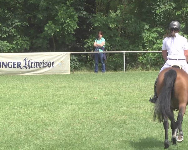 Reitturnier Leingarten 2017