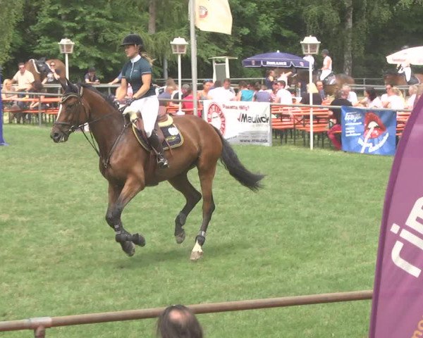 Reitturnier Leingarten 2017
