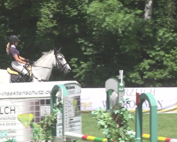 Reitturnier Leingarten 2017