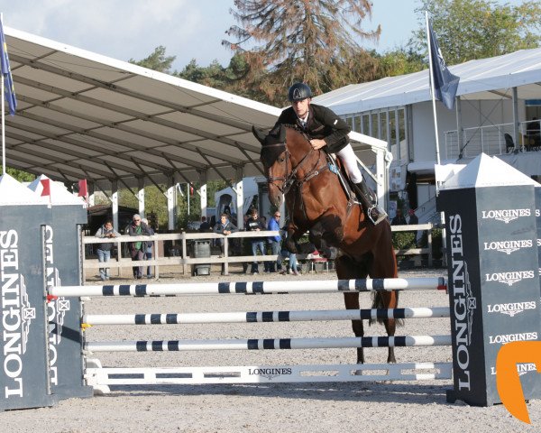 Springpferd Iglesias D.V. (KWPN (Niederländisches Warmblut), 2013, von Quasimodo vd Molendreef)