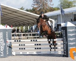 jumper Iglesias D.V. (KWPN (Royal Dutch Sporthorse), 2013, from Quasimodo vd Molendreef)